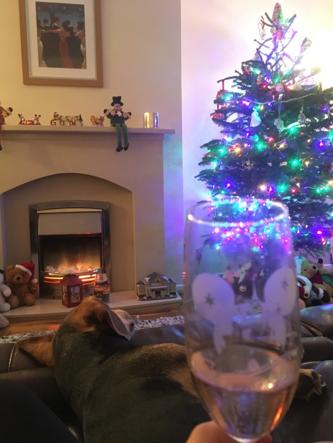 Christmas-Holidays-2017-Review-Prosecco-Dog-Lifestyle-Blog-Blogger